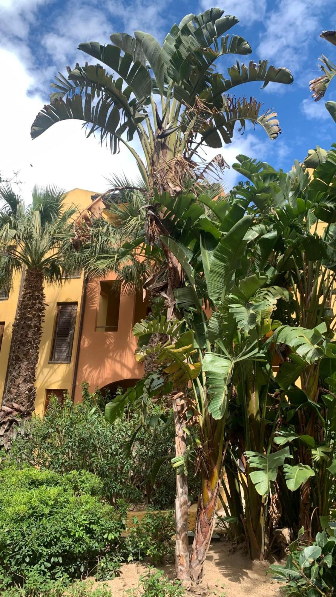 Nest House - Esclusivo Appartamento Marina Di Olbia- Mater Olbia - Beaches - Close To The Airport - Private Parking- Full Comforts - Exterior foto